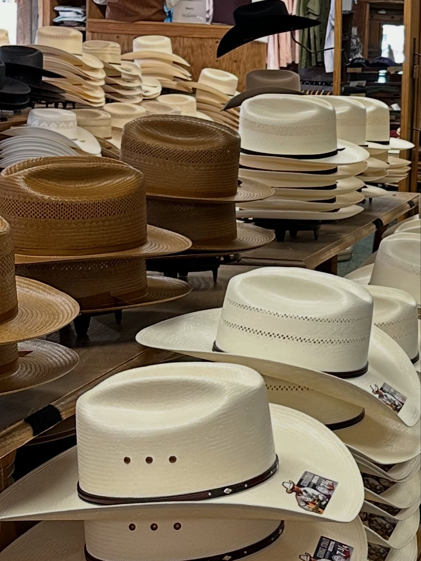 กัปตัน - ชลธร คงยิ่งยง