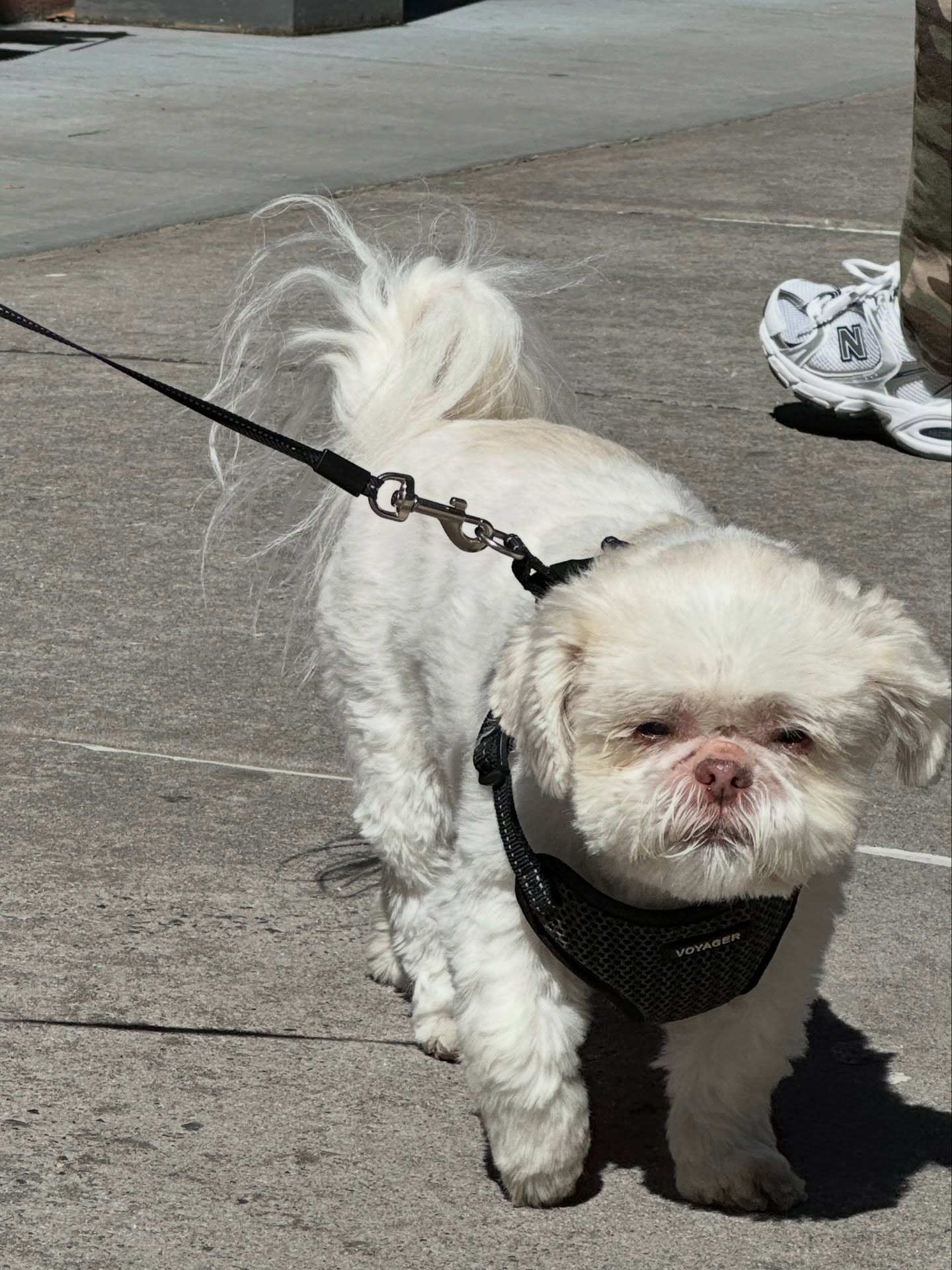 กัปตัน - ชลธร คงยิ่งยง