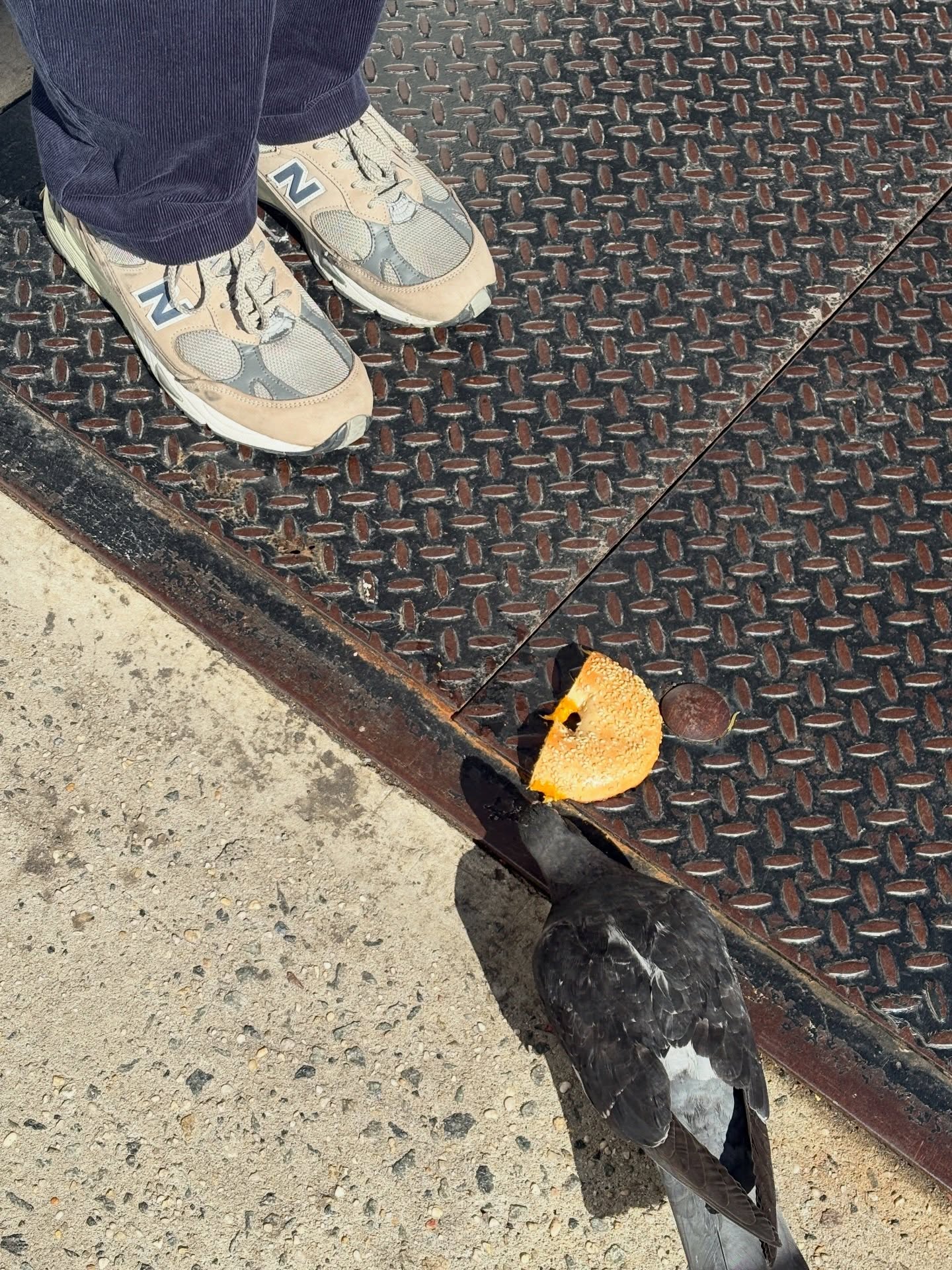 กัปตัน - ชลธร คงยิ่งยง