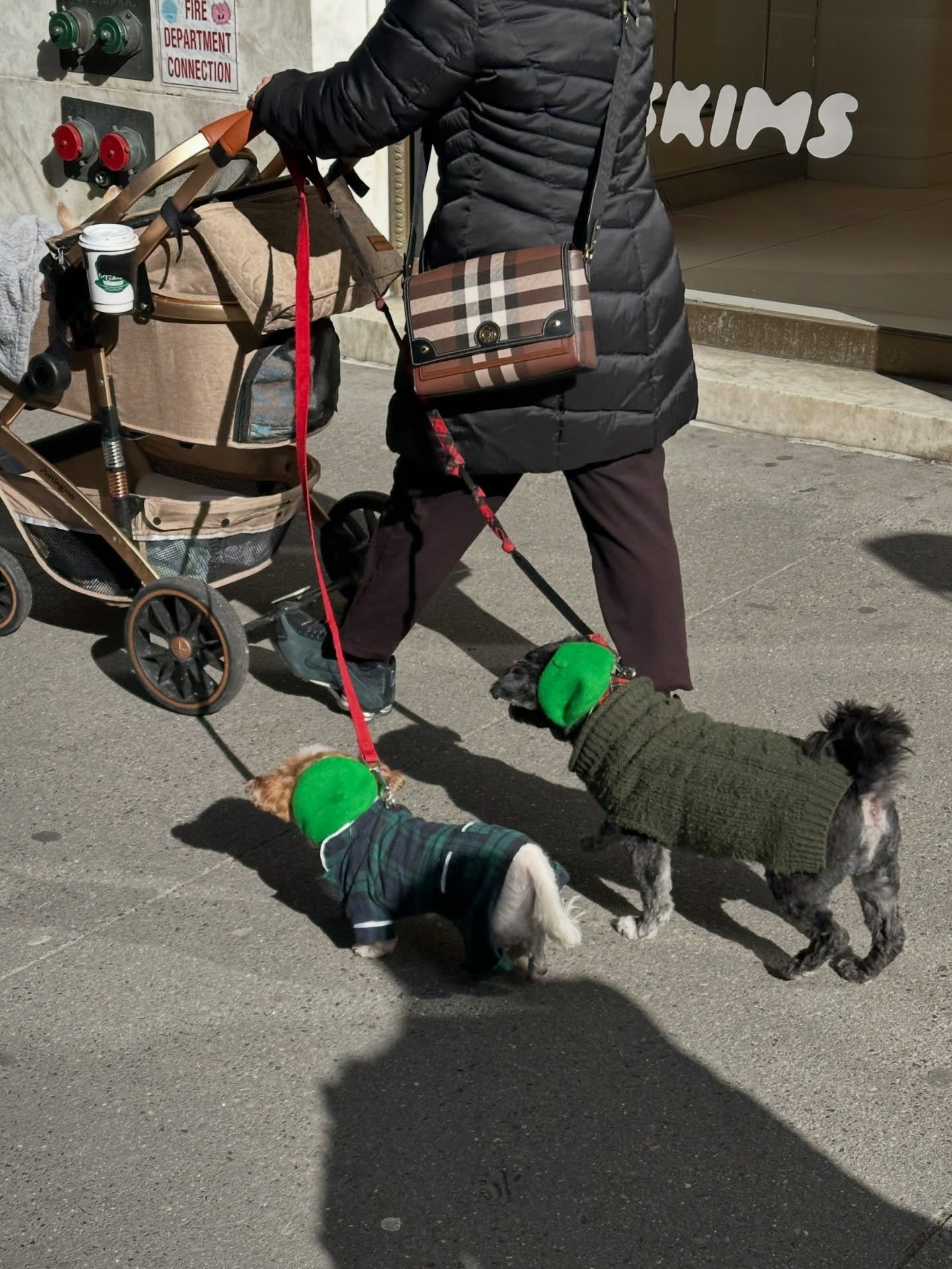 กัปตัน - ชลธร คงยิ่งยง