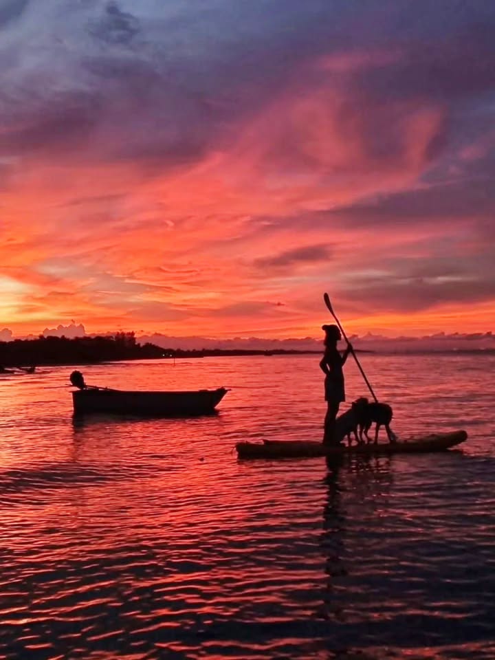 ป้อง - ณวัฒน์ กุลรัตนรักษ์