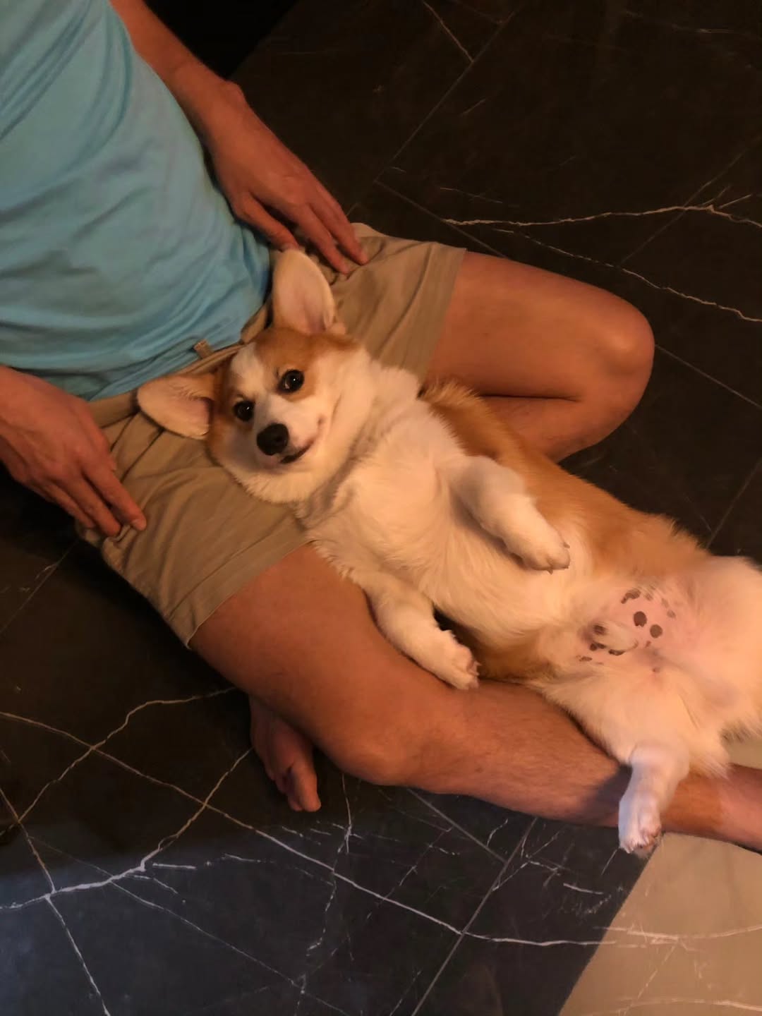 ป้อง - ณวัฒน์ กุลรัตนรักษ์