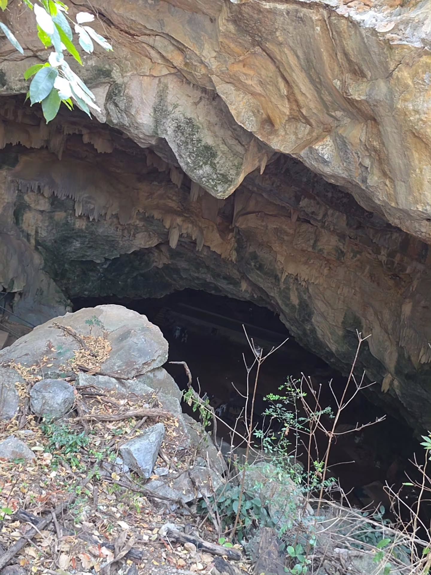 ป้อง - ณวัฒน์ กุลรัตนรักษ์