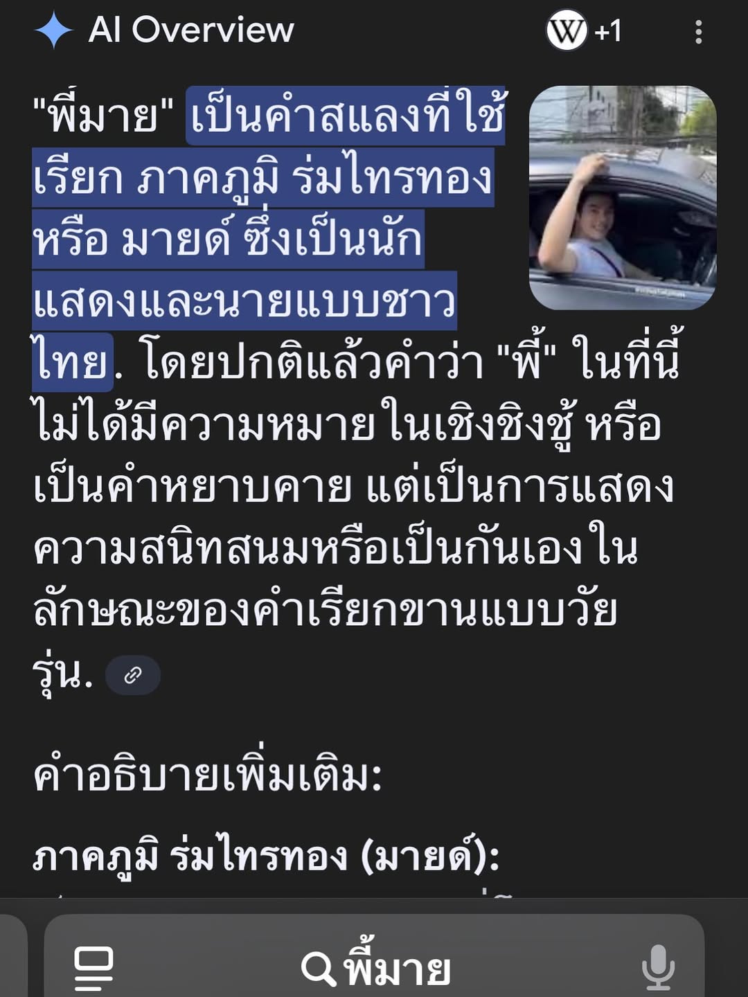 มาย - ภาคภูมิ ร่มไทรทอง