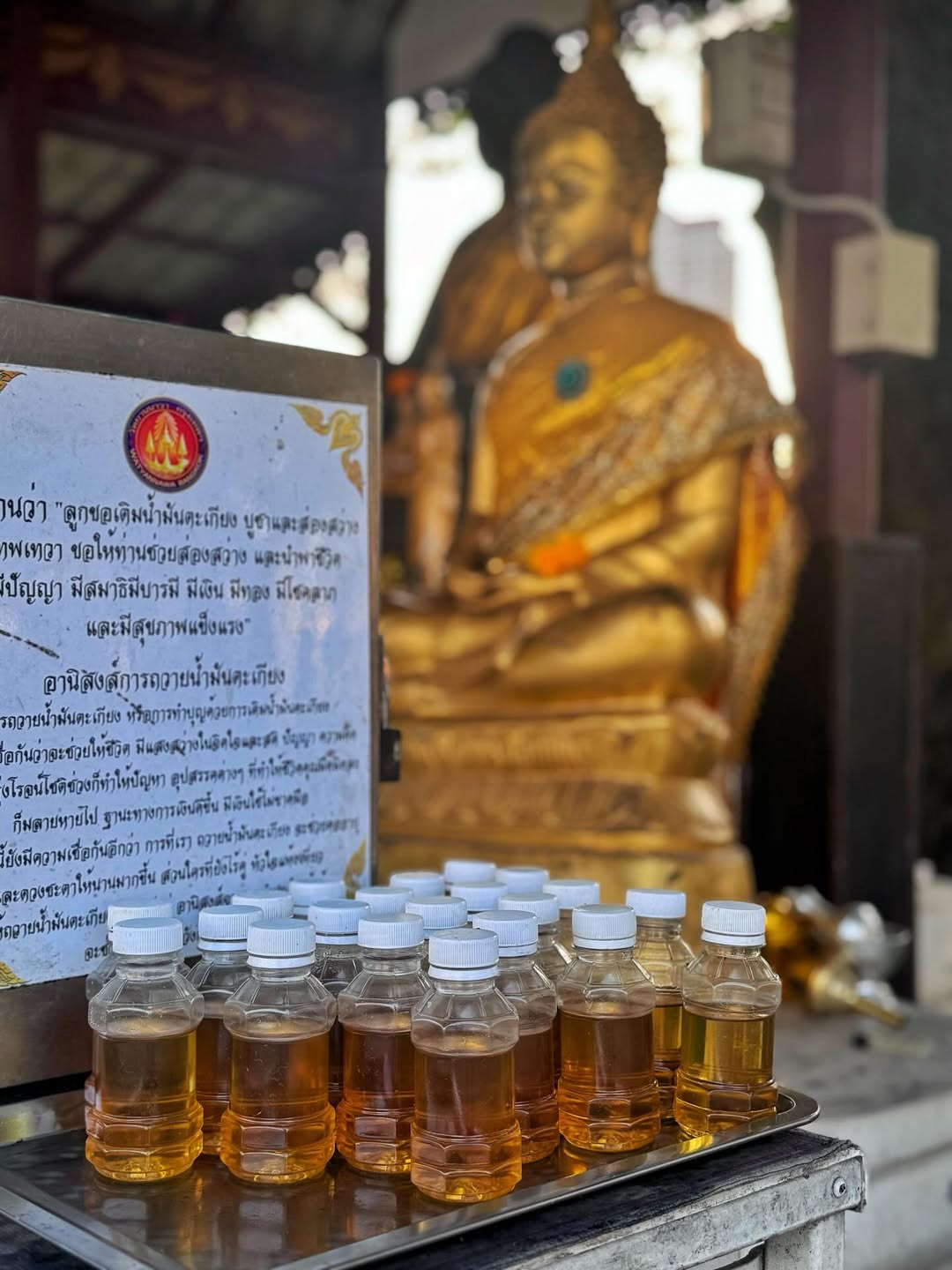 มาย - ภาคภูมิ ร่มไทรทอง