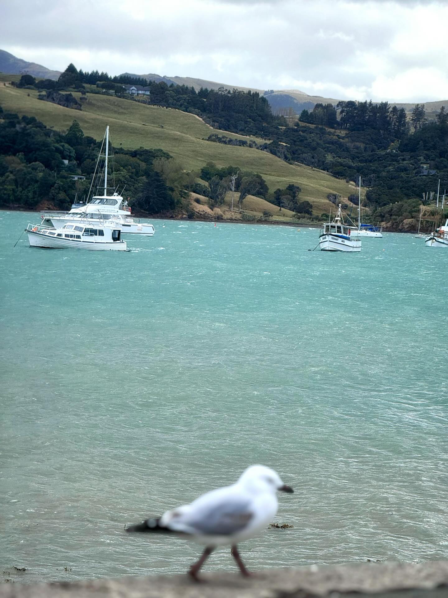 มาย - ภาคภูมิ ร่มไทรทอง