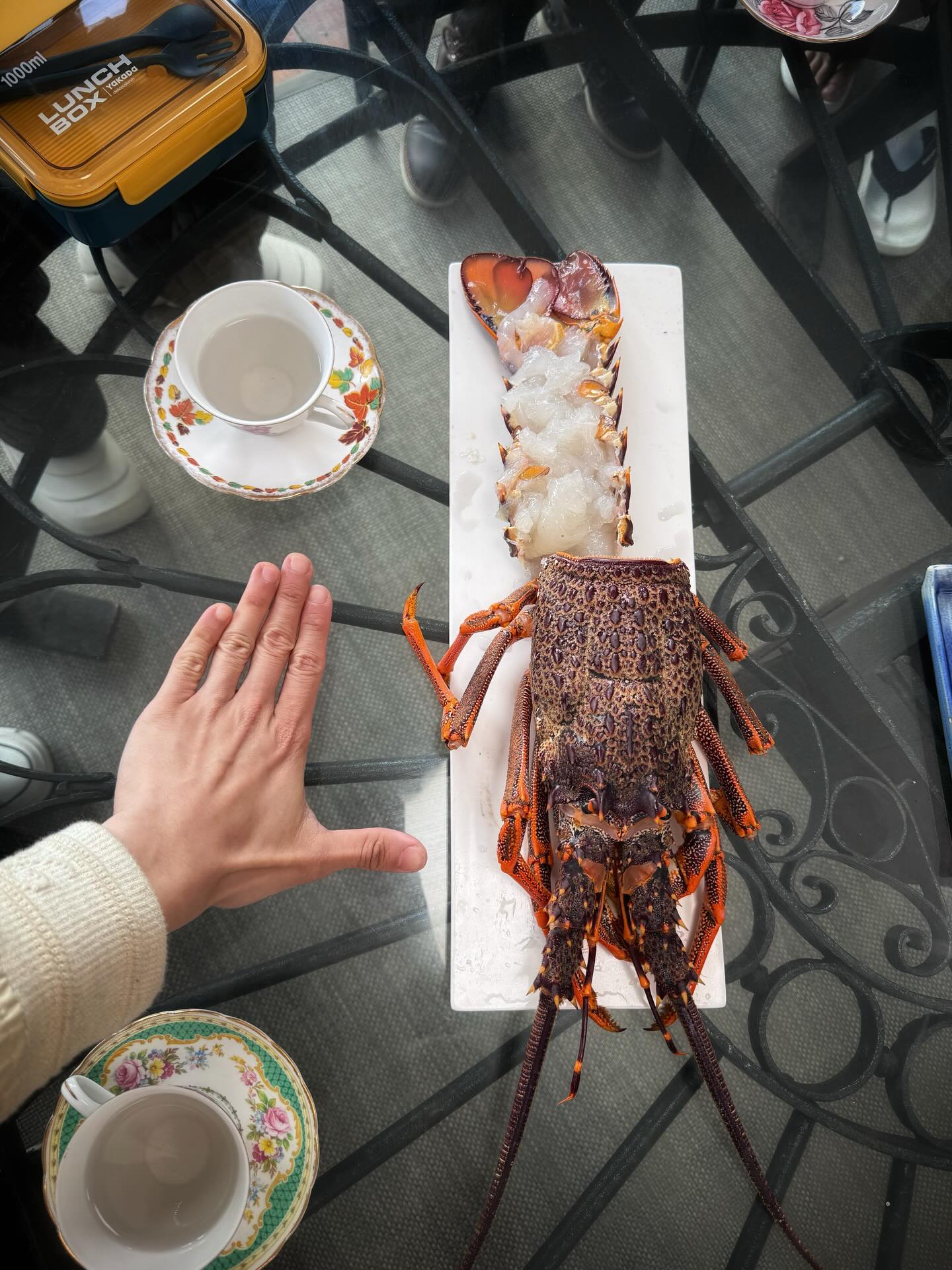 มาย - ภาคภูมิ ร่มไทรทอง