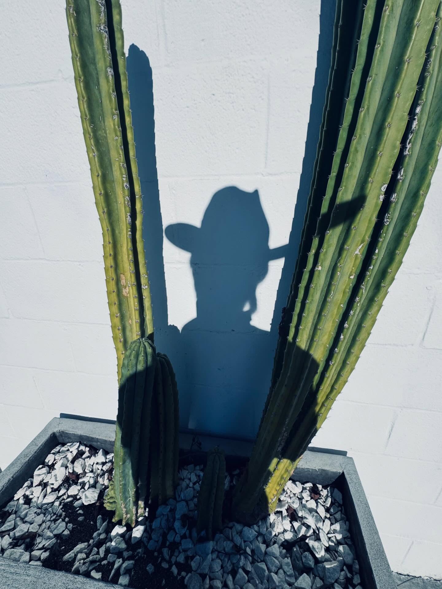 มาย - ภาคภูมิ ร่มไทรทอง