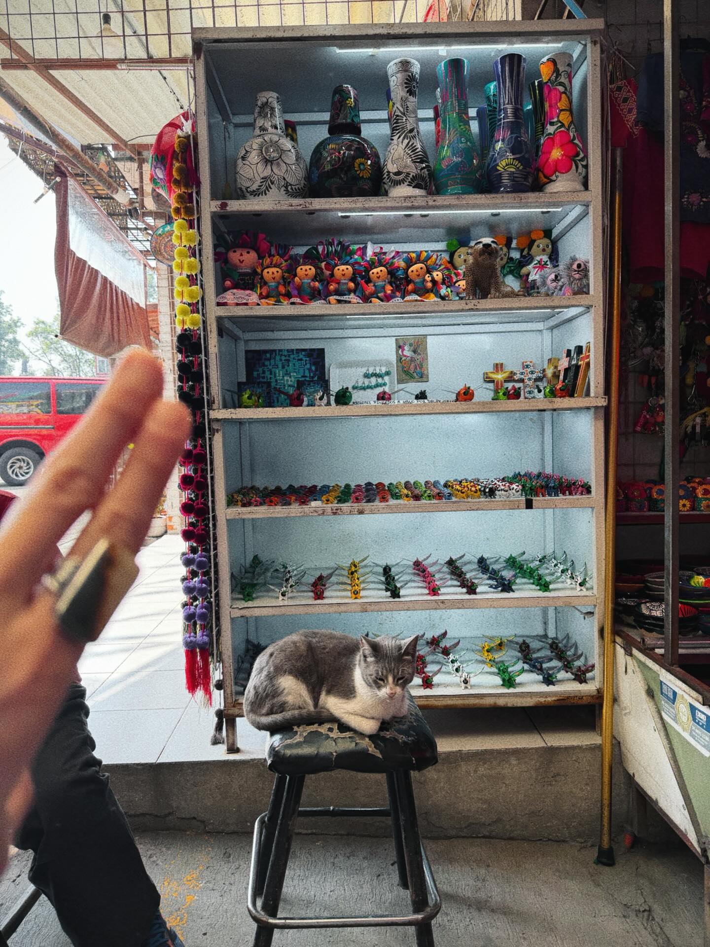 มาย - ภาคภูมิ ร่มไทรทอง