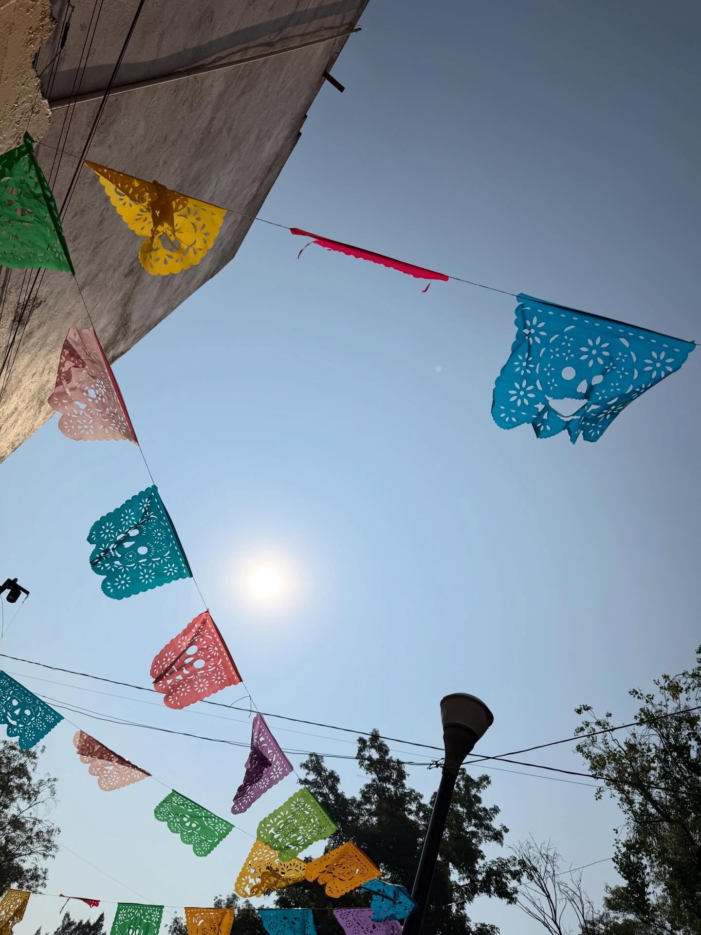 มาย - ภาคภูมิ ร่มไทรทอง