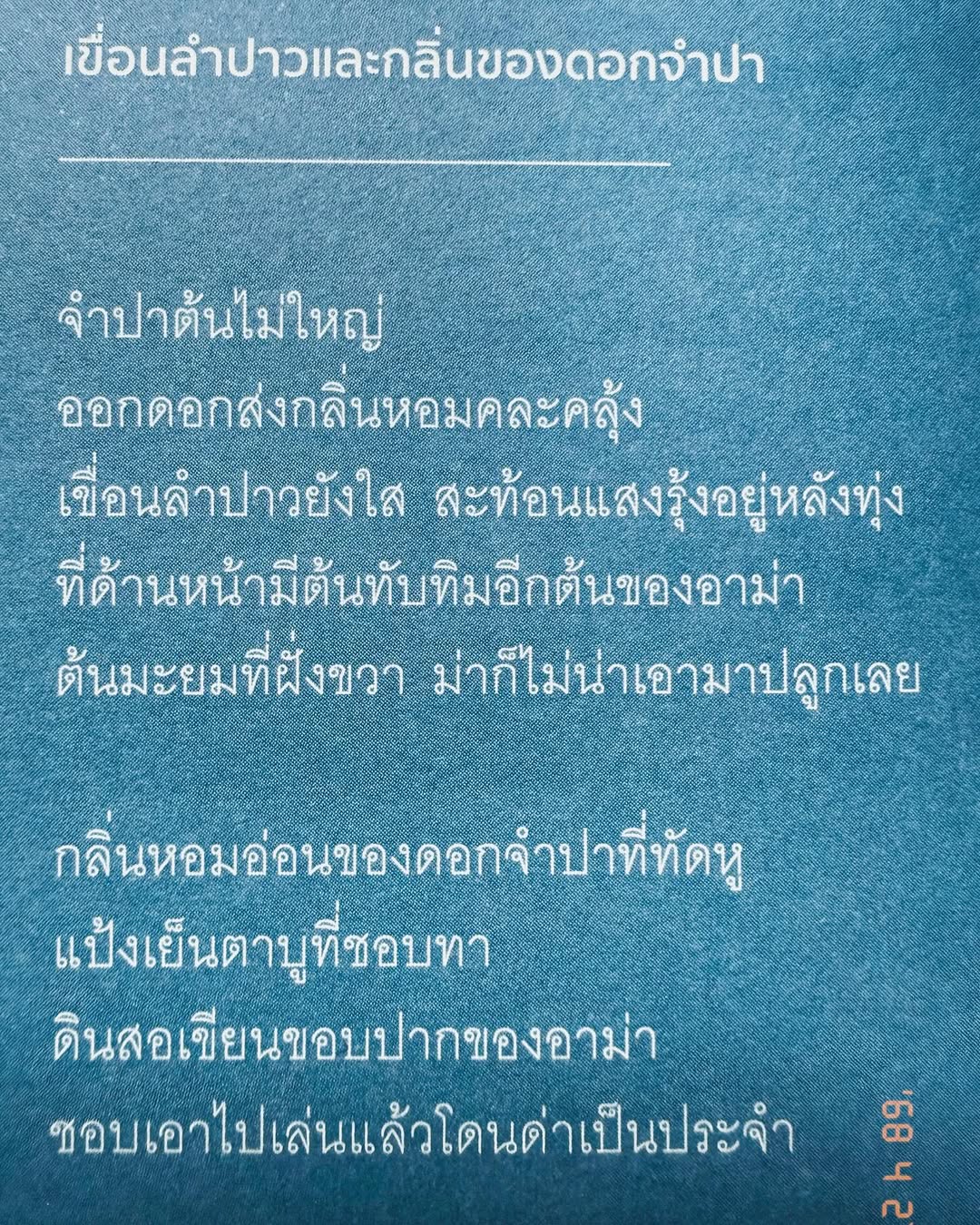 ธิชา วงศ์ทิพย์กานนท์