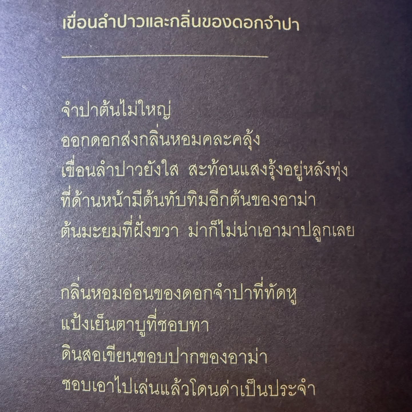 ธิชา วงศ์ทิพย์กานนท์