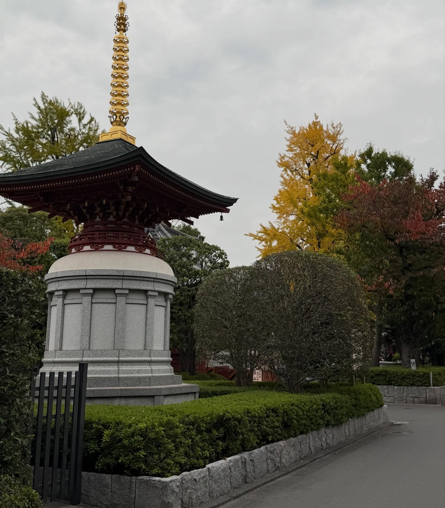 ติ๊ก - กัญญารัตน์ จิรรัชชกิจ