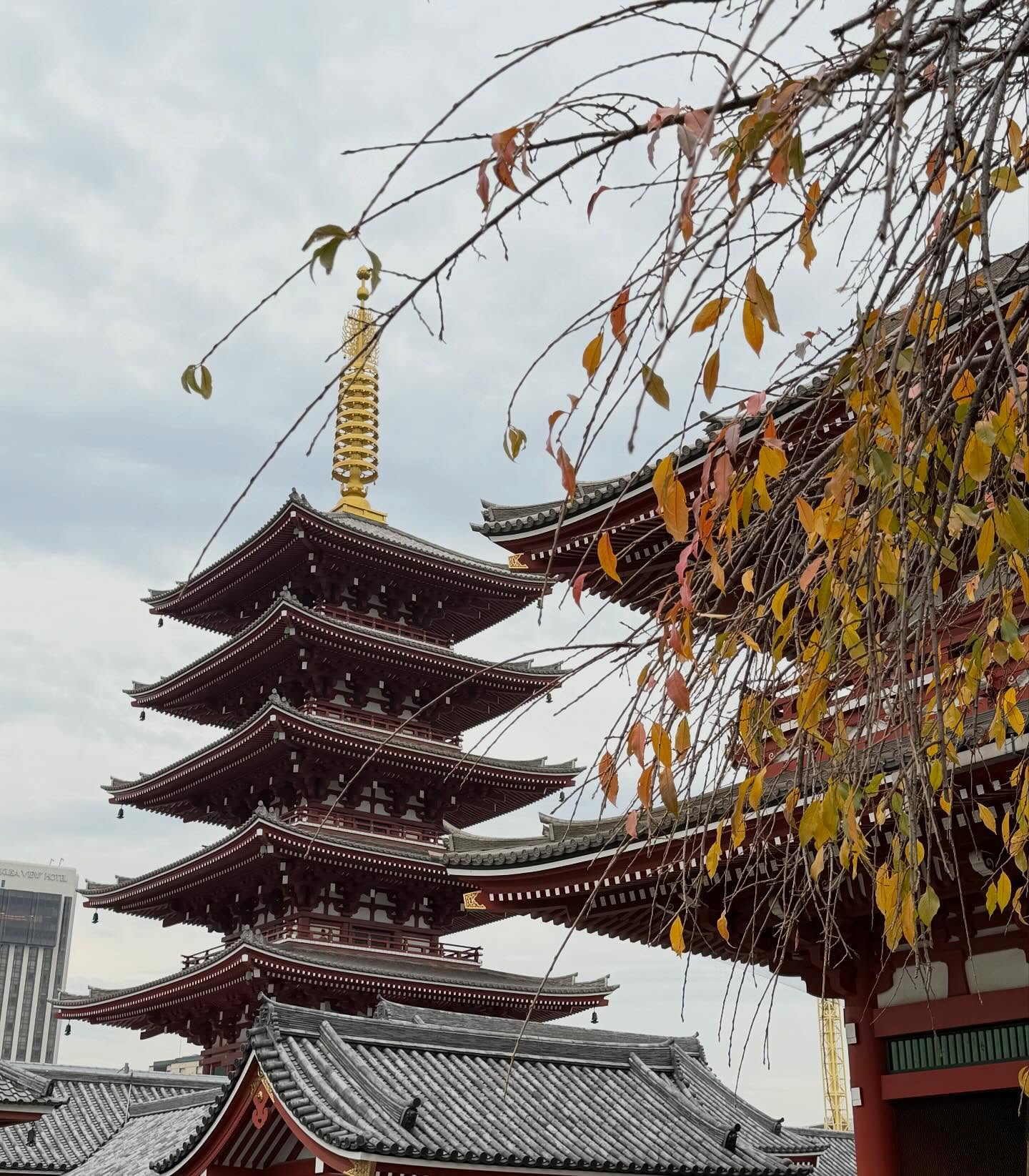 ติ๊ก - กัญญารัตน์ จิรรัชชกิจ