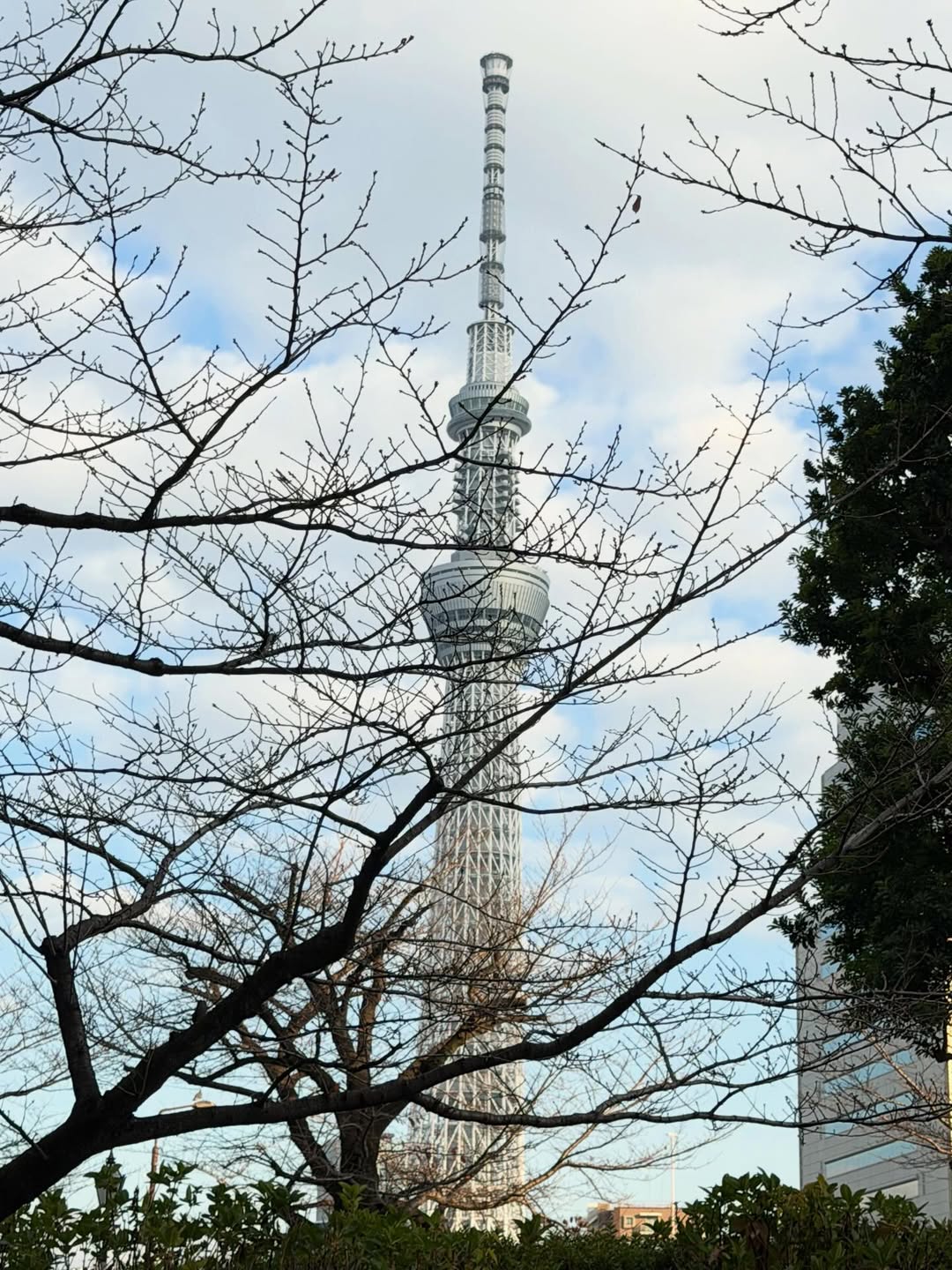 ติ๊ก - กัญญารัตน์ จิรรัชชกิจ