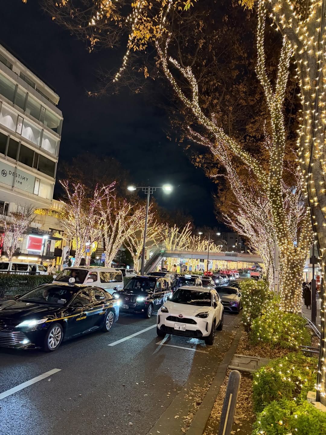 ติ๊ก - กัญญารัตน์ จิรรัชชกิจ