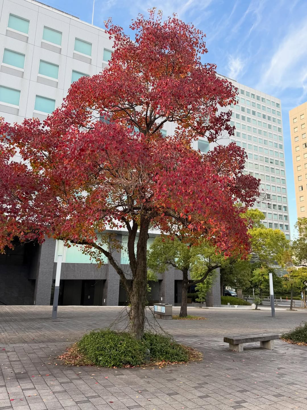 ติ๊ก - กัญญารัตน์ จิรรัชชกิจ