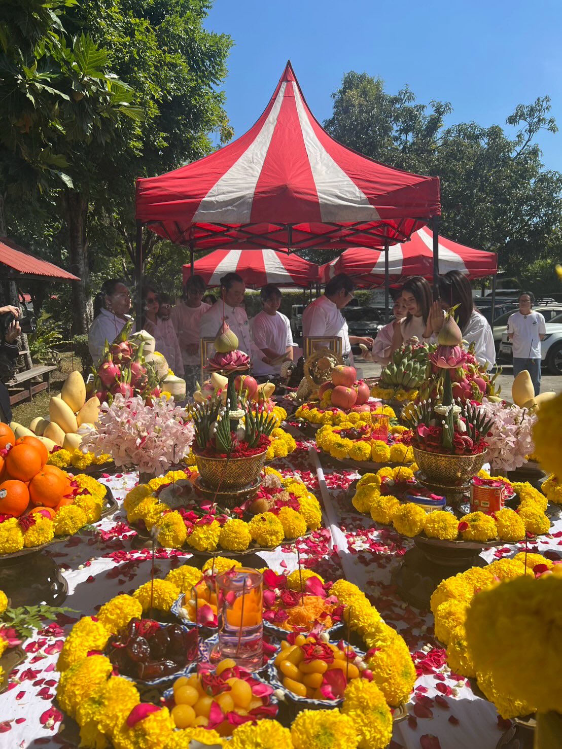 ติ๊ก - กัญญารัตน์ จิรรัชชกิจ