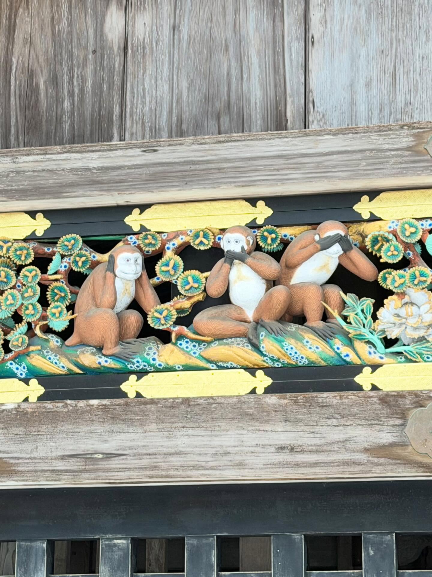 ติ๊ก - กัญญารัตน์ จิรรัชชกิจ