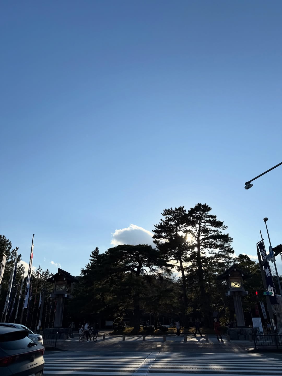 ตน - ต้นหน ตันติเวชกุล