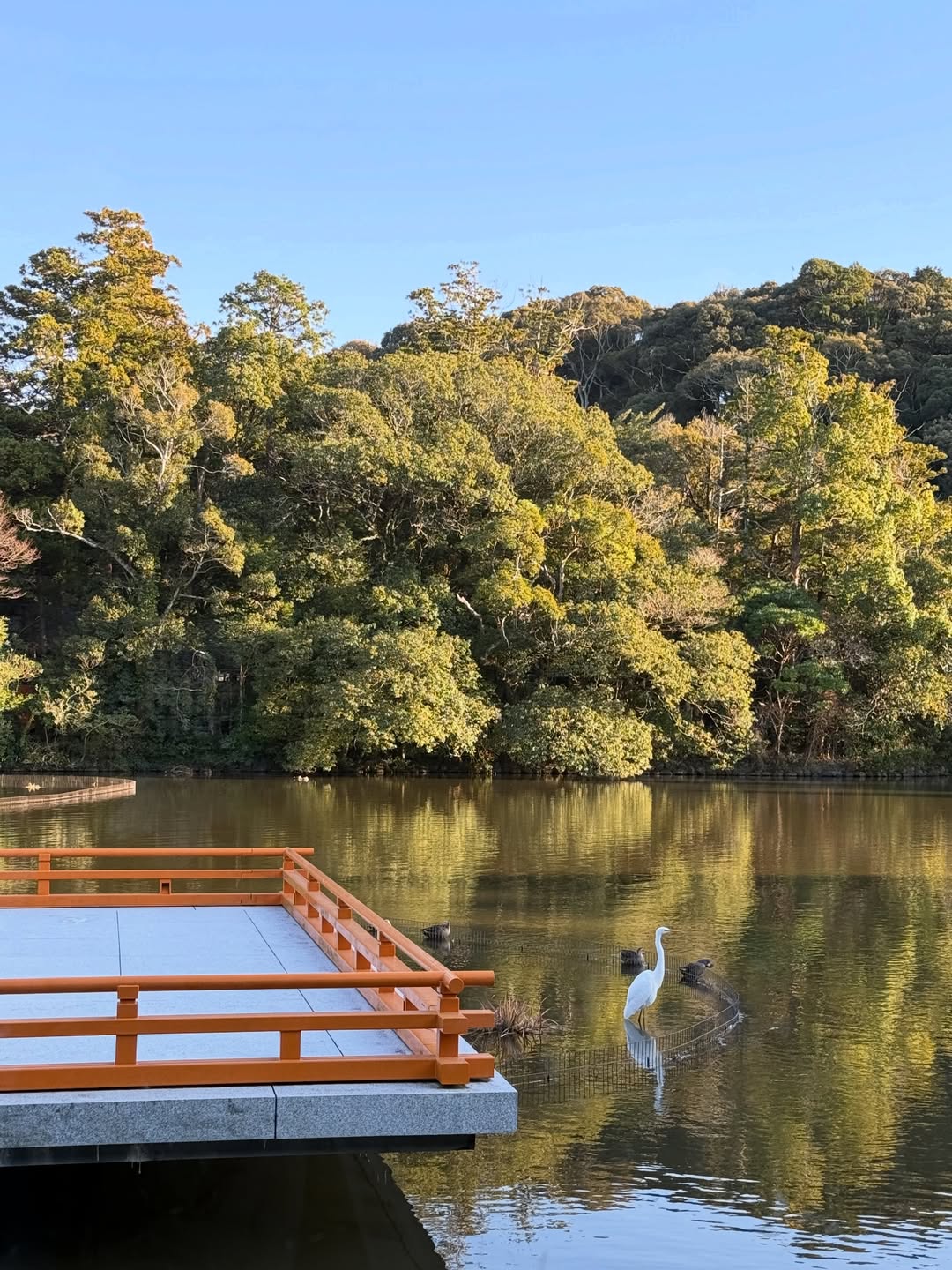 ตน - ต้นหน ตันติเวชกุล