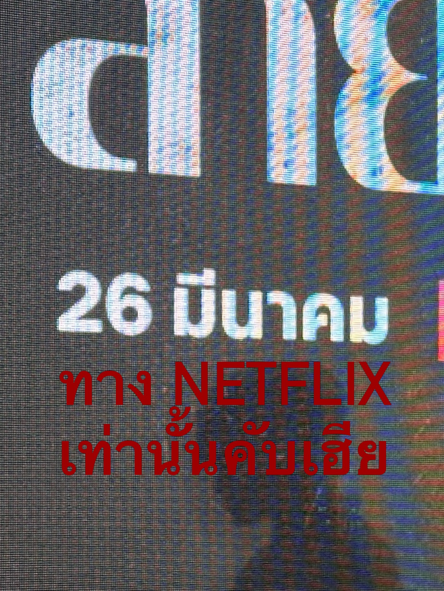 ตน - ต้นหน ตันติเวชกุล