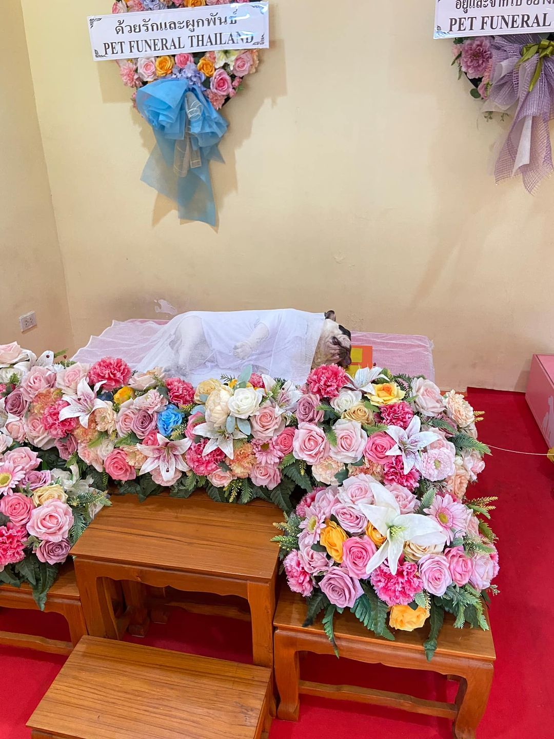 เบล - ขนิษฐา เบ้าหล่อเพชร