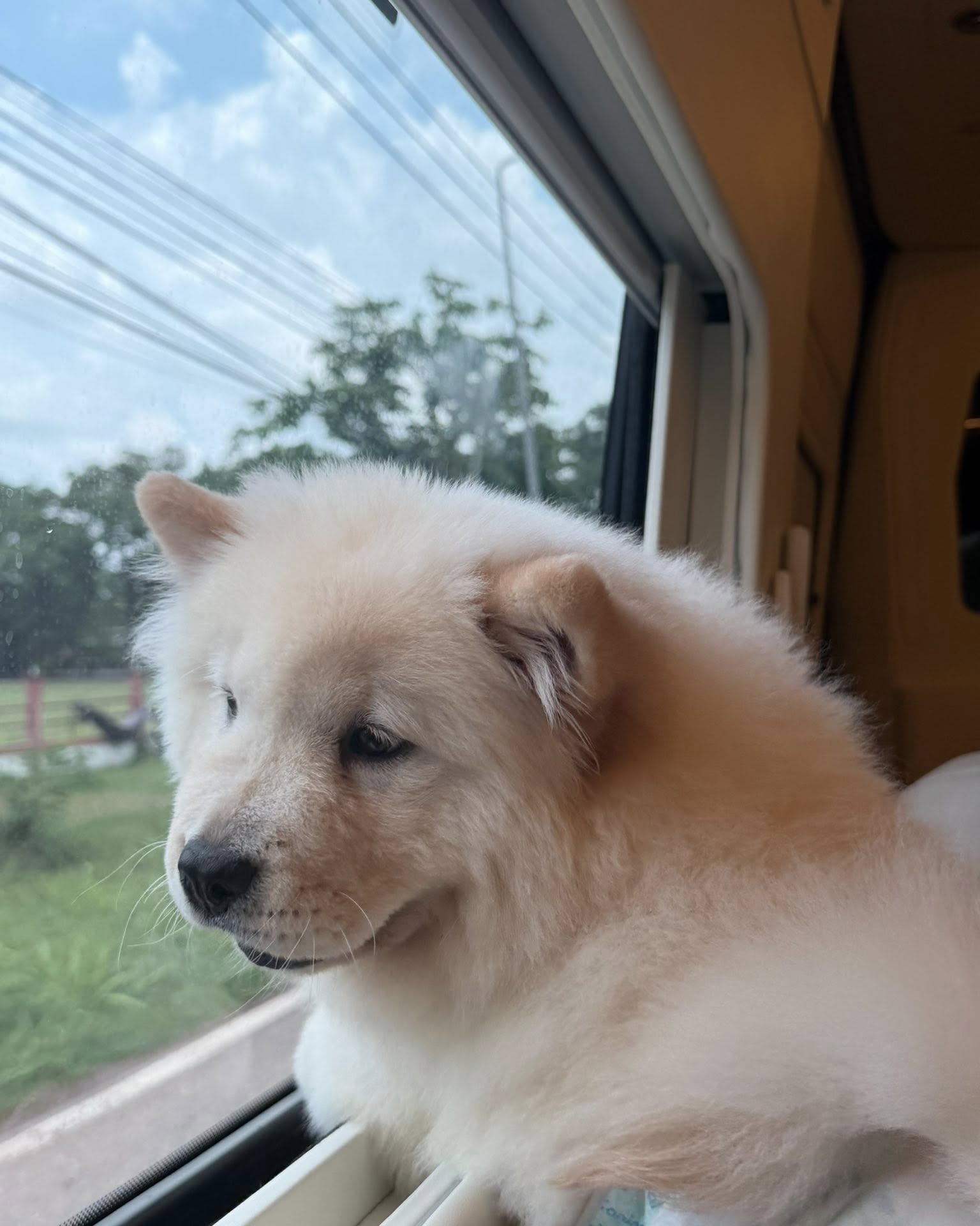 เบล - ขนิษฐา เบ้าหล่อเพชร