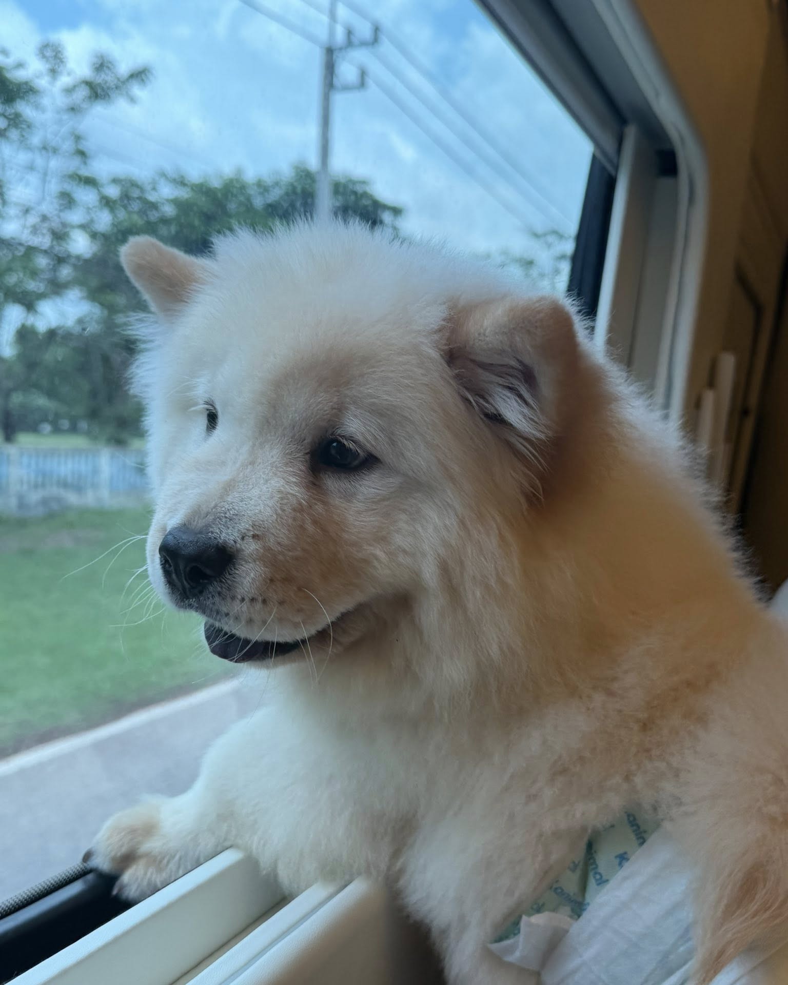 เบล - ขนิษฐา เบ้าหล่อเพชร