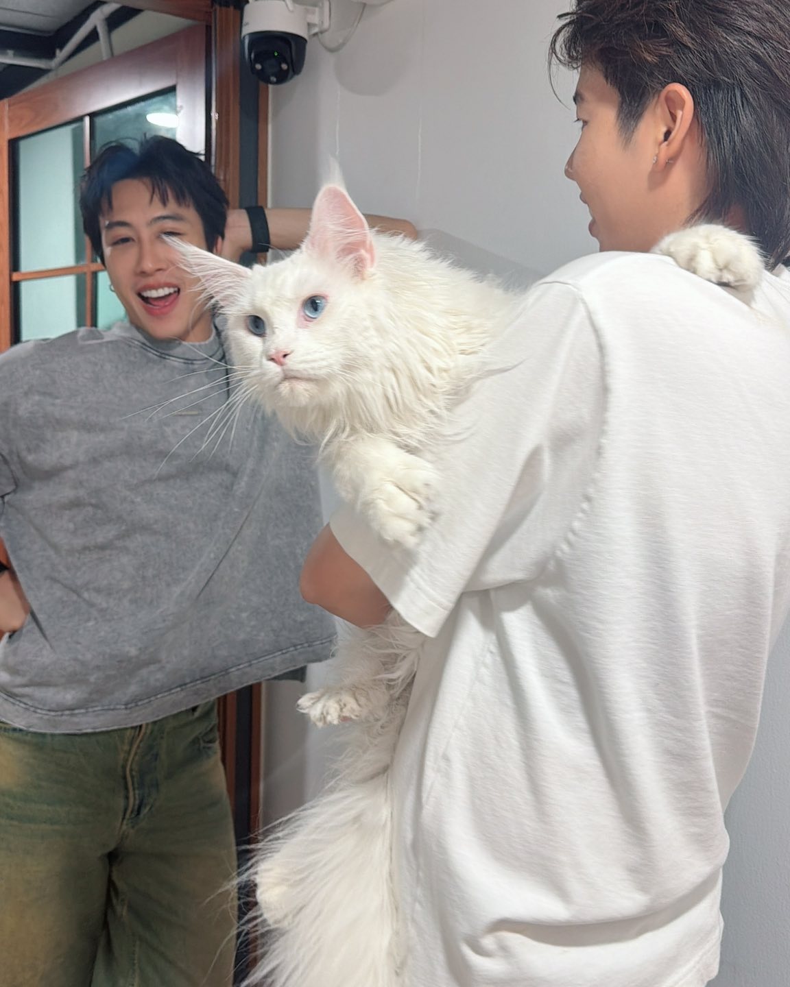 เบล - ขนิษฐา เบ้าหล่อเพชร