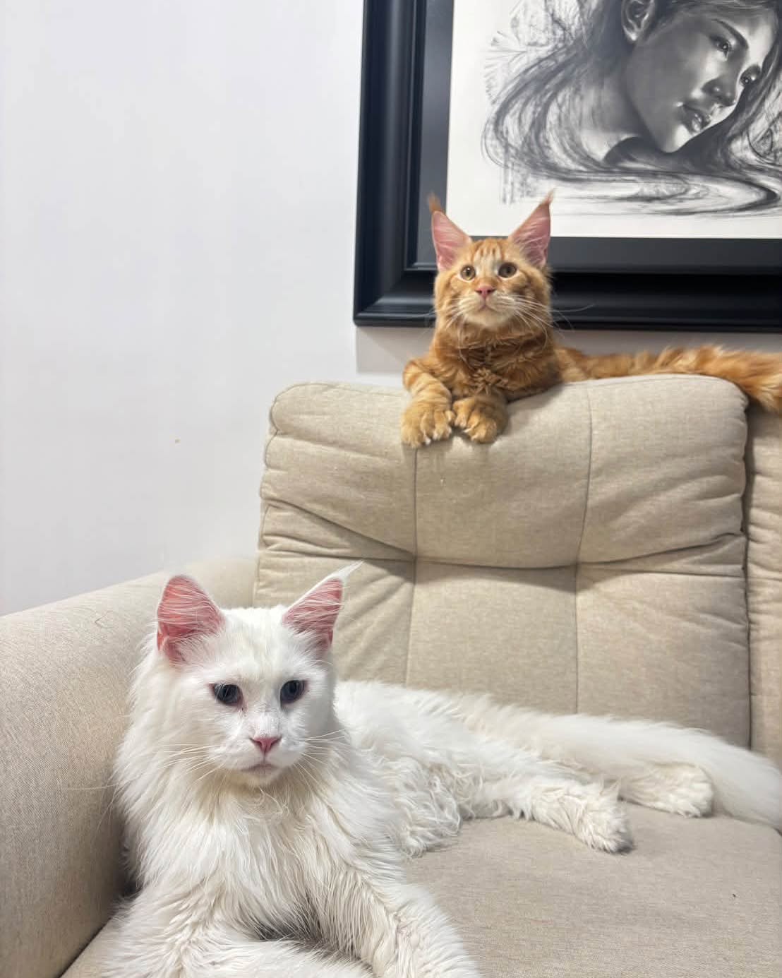เบล - ขนิษฐา เบ้าหล่อเพชร
