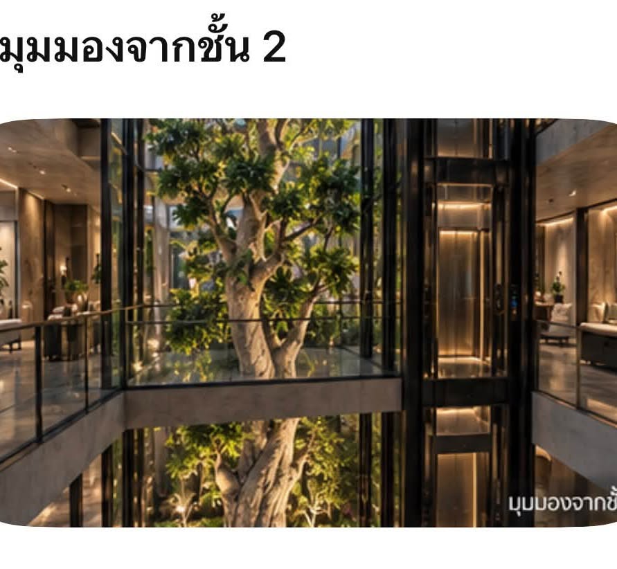 เบล - ขนิษฐา เบ้าหล่อเพชร