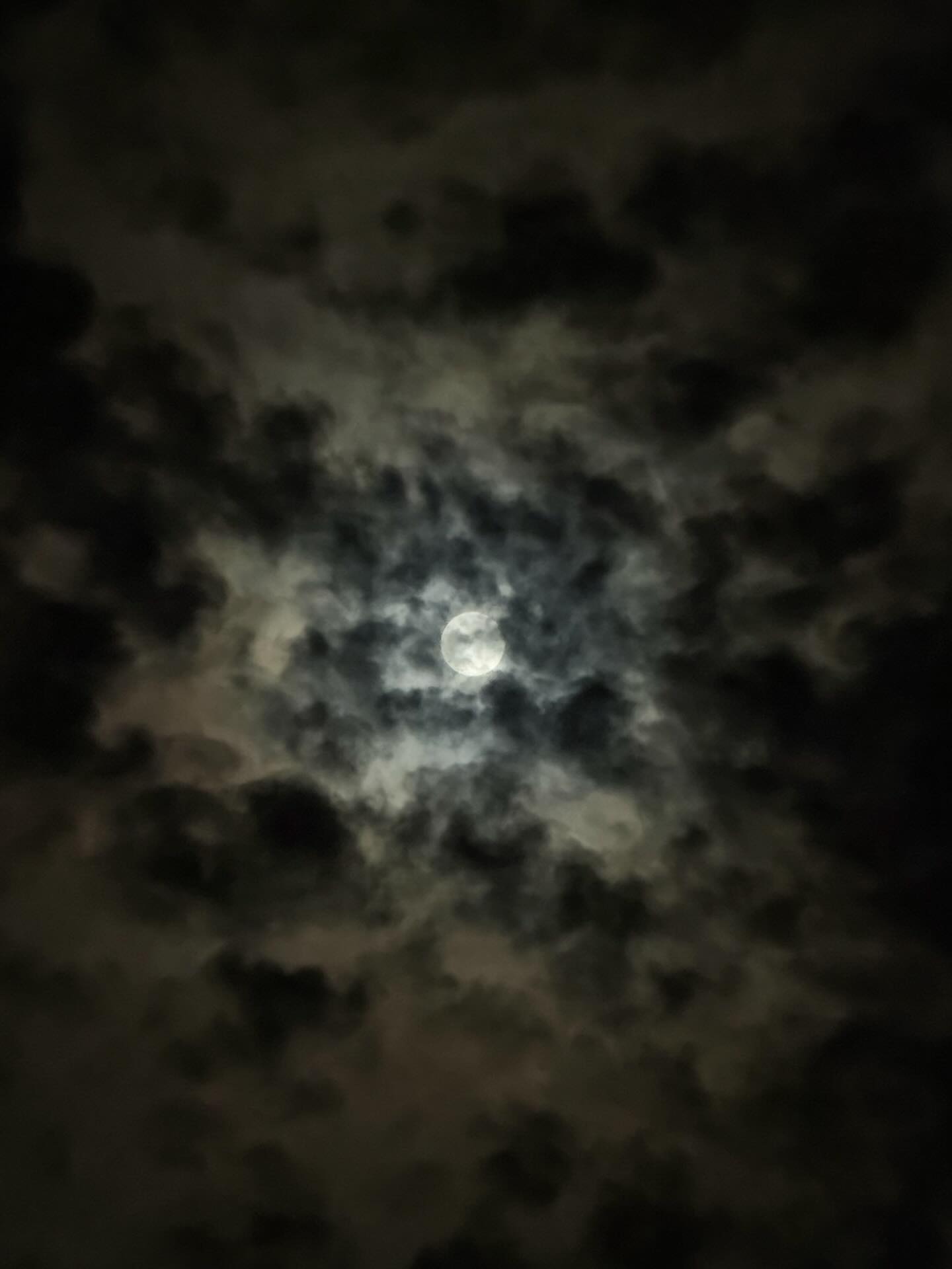 โอ๊ต - ธาราธร พุ่มโพธิงาม