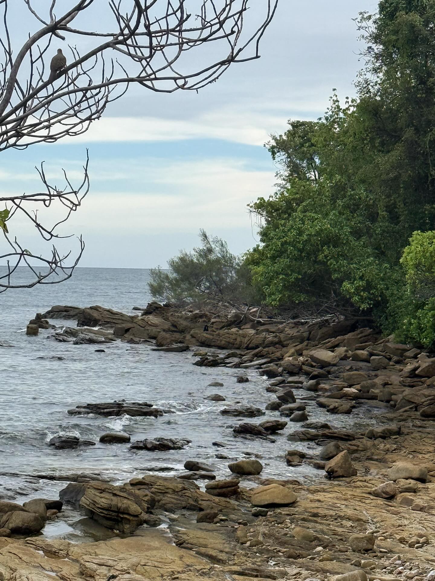 โอ๊ต - ธาราธร พุ่มโพธิงาม