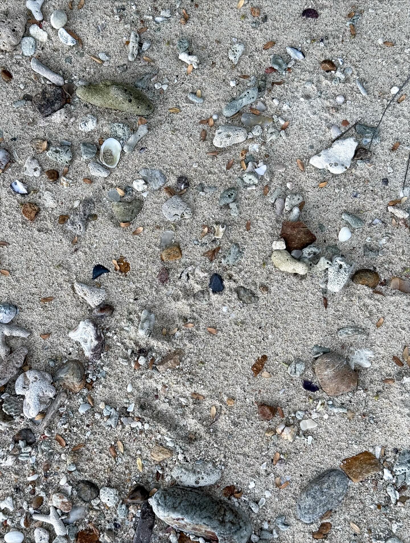 โอ๊ต - ธาราธร พุ่มโพธิงาม