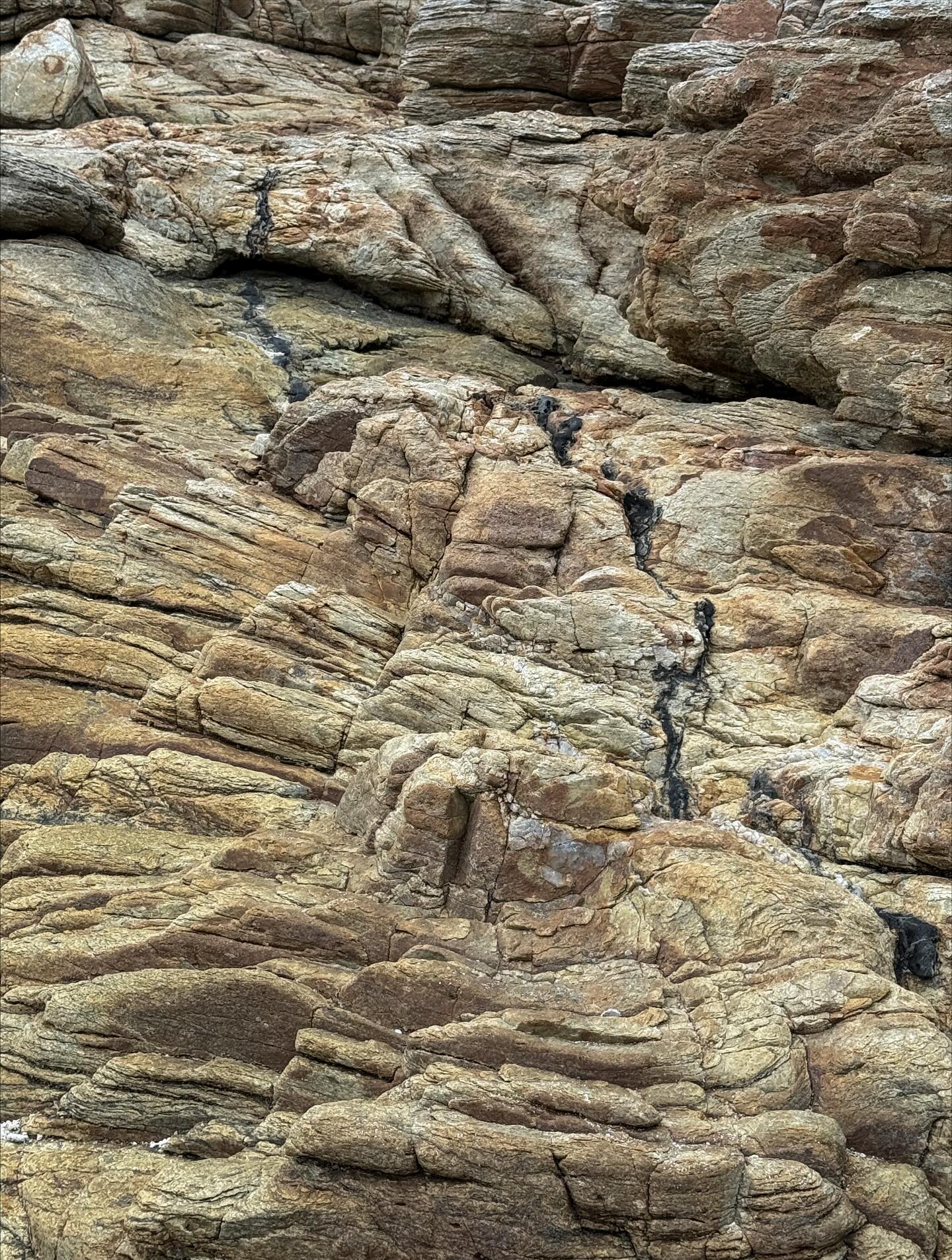 โอ๊ต - ธาราธร พุ่มโพธิงาม