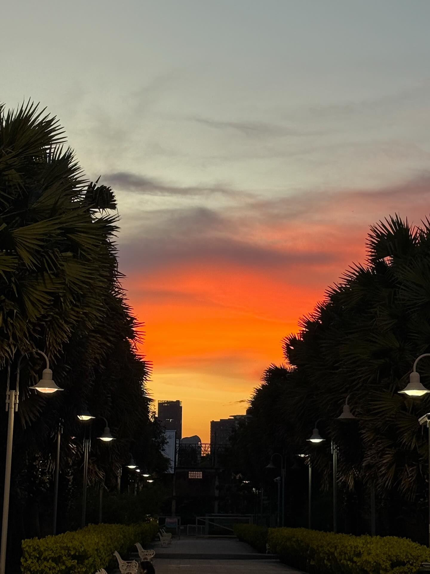 โอ๊ต - ธาราธร พุ่มโพธิงาม