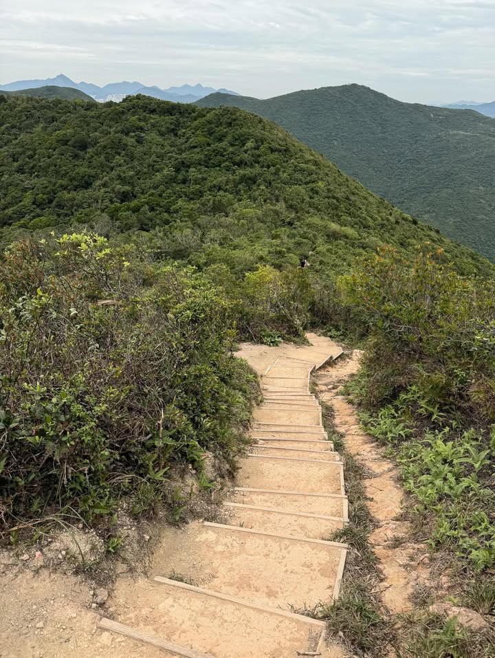 โอ๊ต - ธาราธร พุ่มโพธิงาม