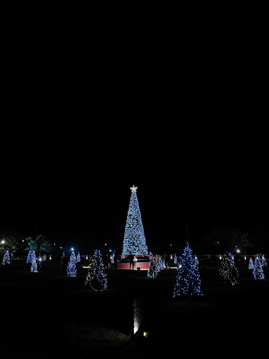 โอ๊ต - ธาราธร พุ่มโพธิงาม