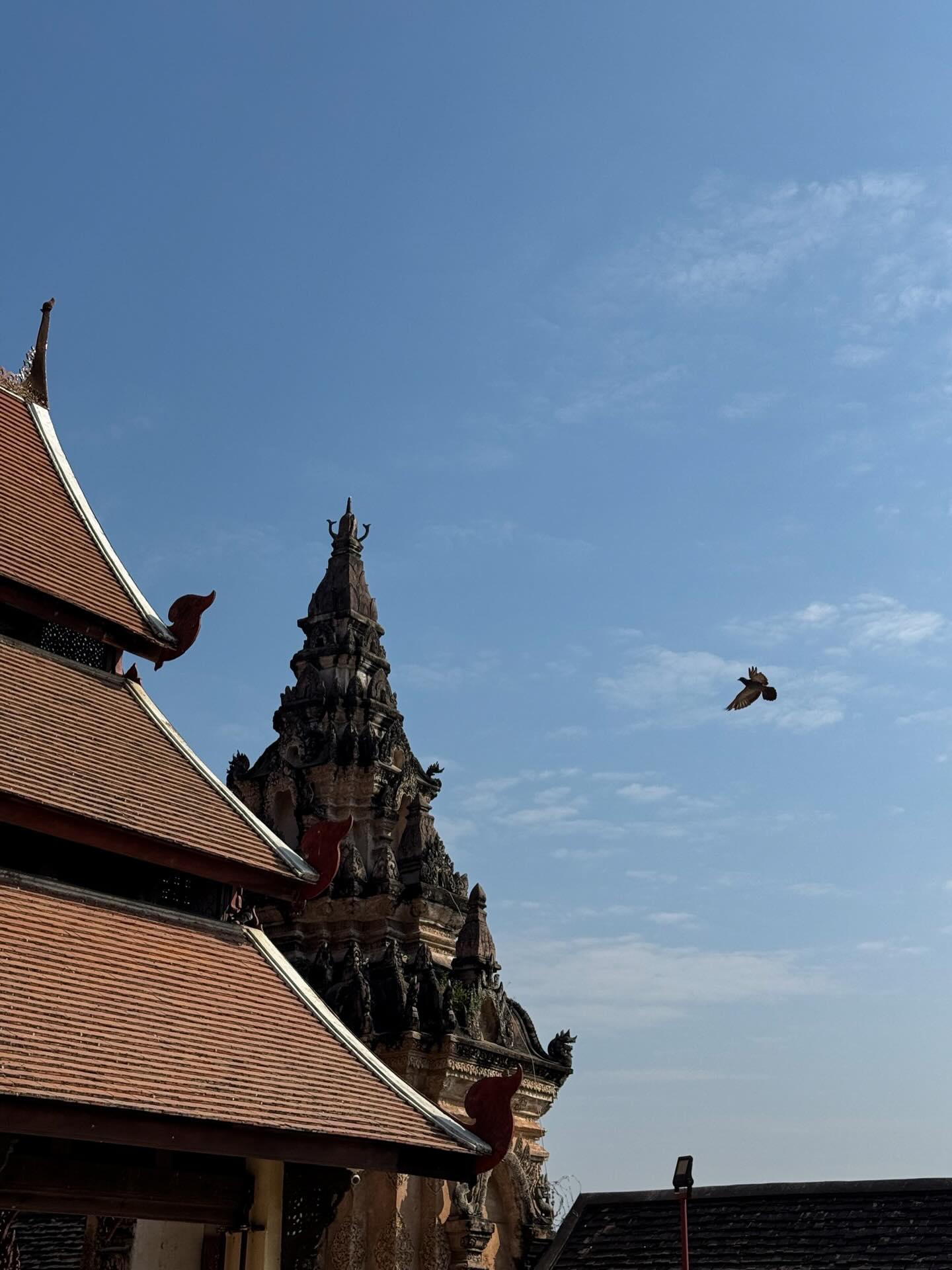 โอ๊ต - ธาราธร พุ่มโพธิงาม