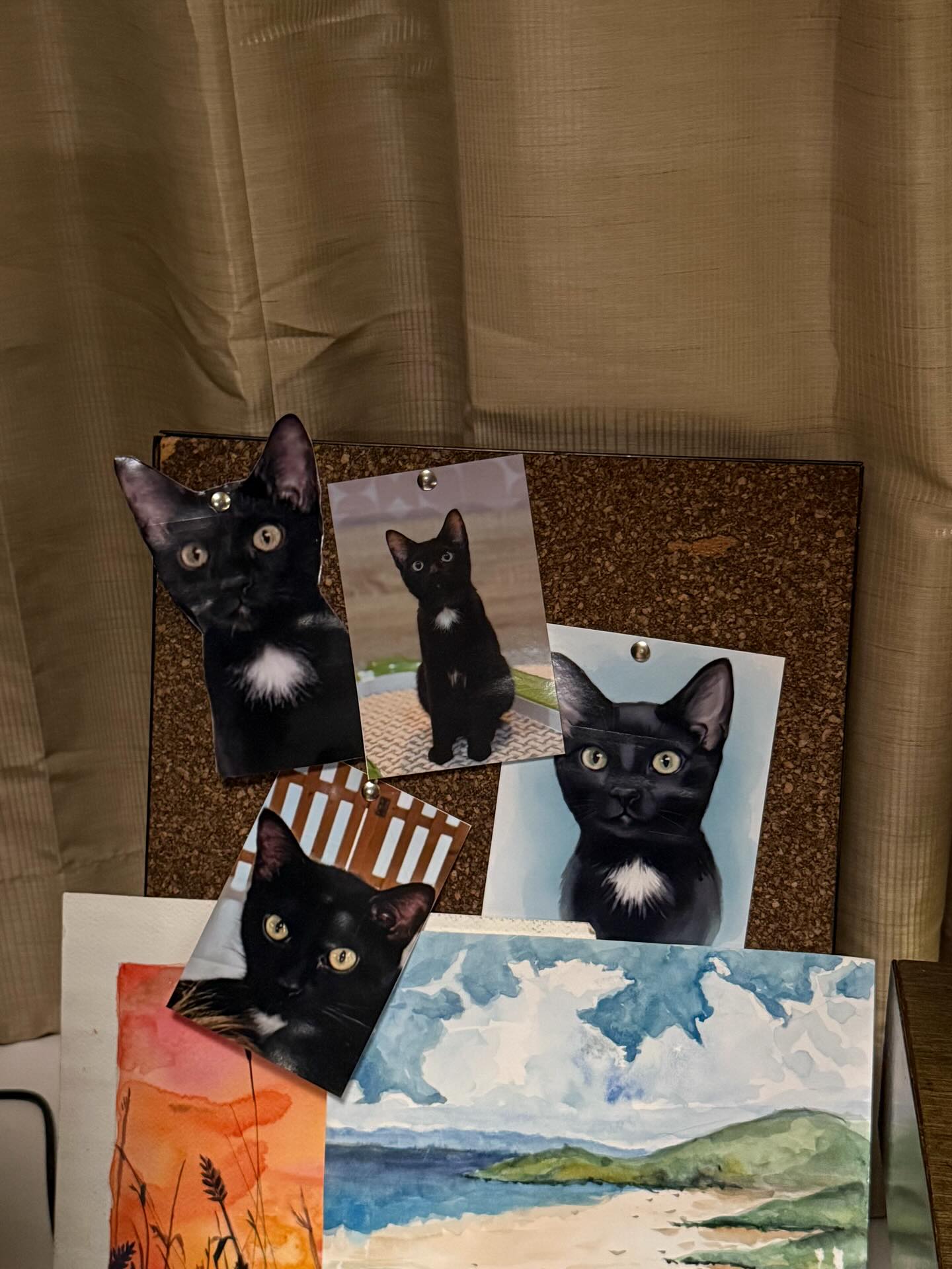 โอ๊ต - ธาราธร พุ่มโพธิงาม