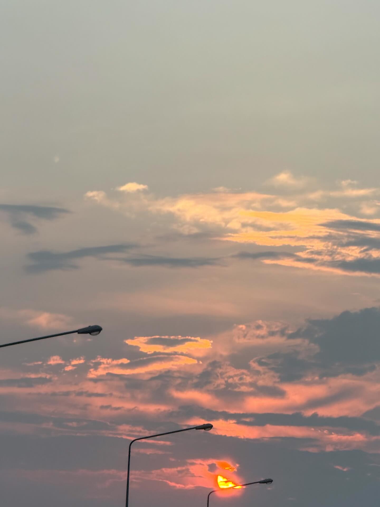 โอ๊ต - ธาราธร พุ่มโพธิงาม