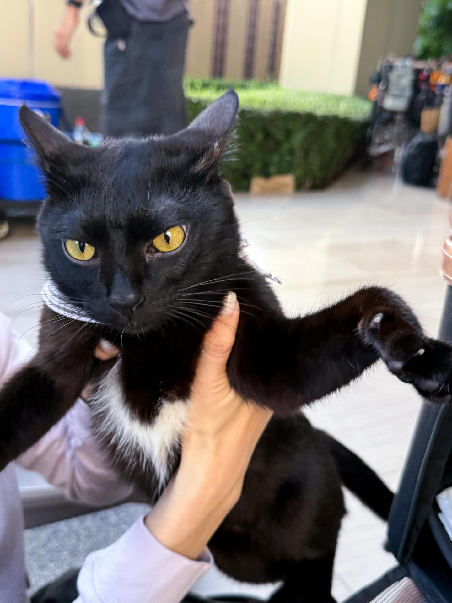 โอ๊ต - ธาราธร พุ่มโพธิงาม