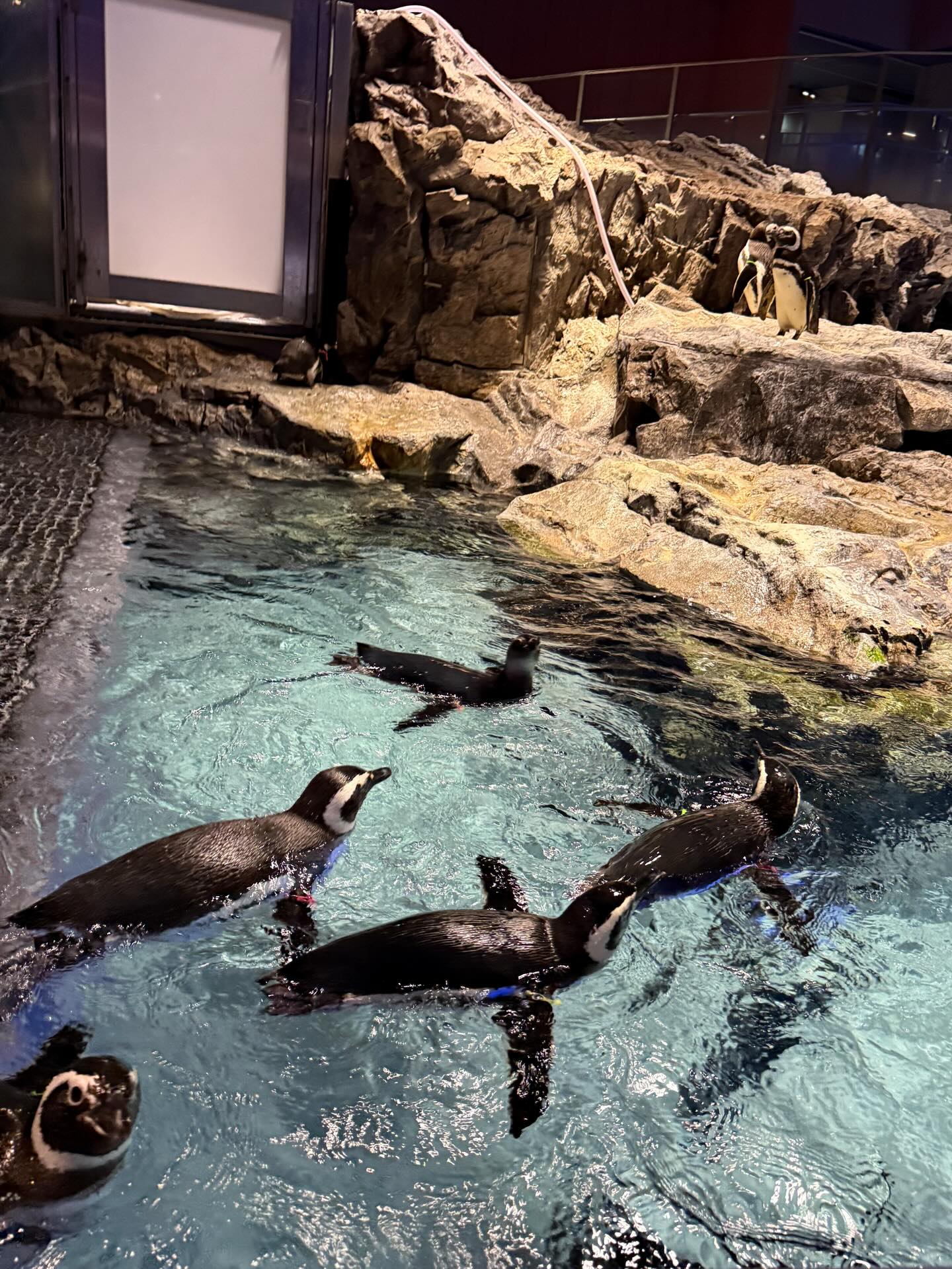 โอ๊ต - ธาราธร พุ่มโพธิงาม