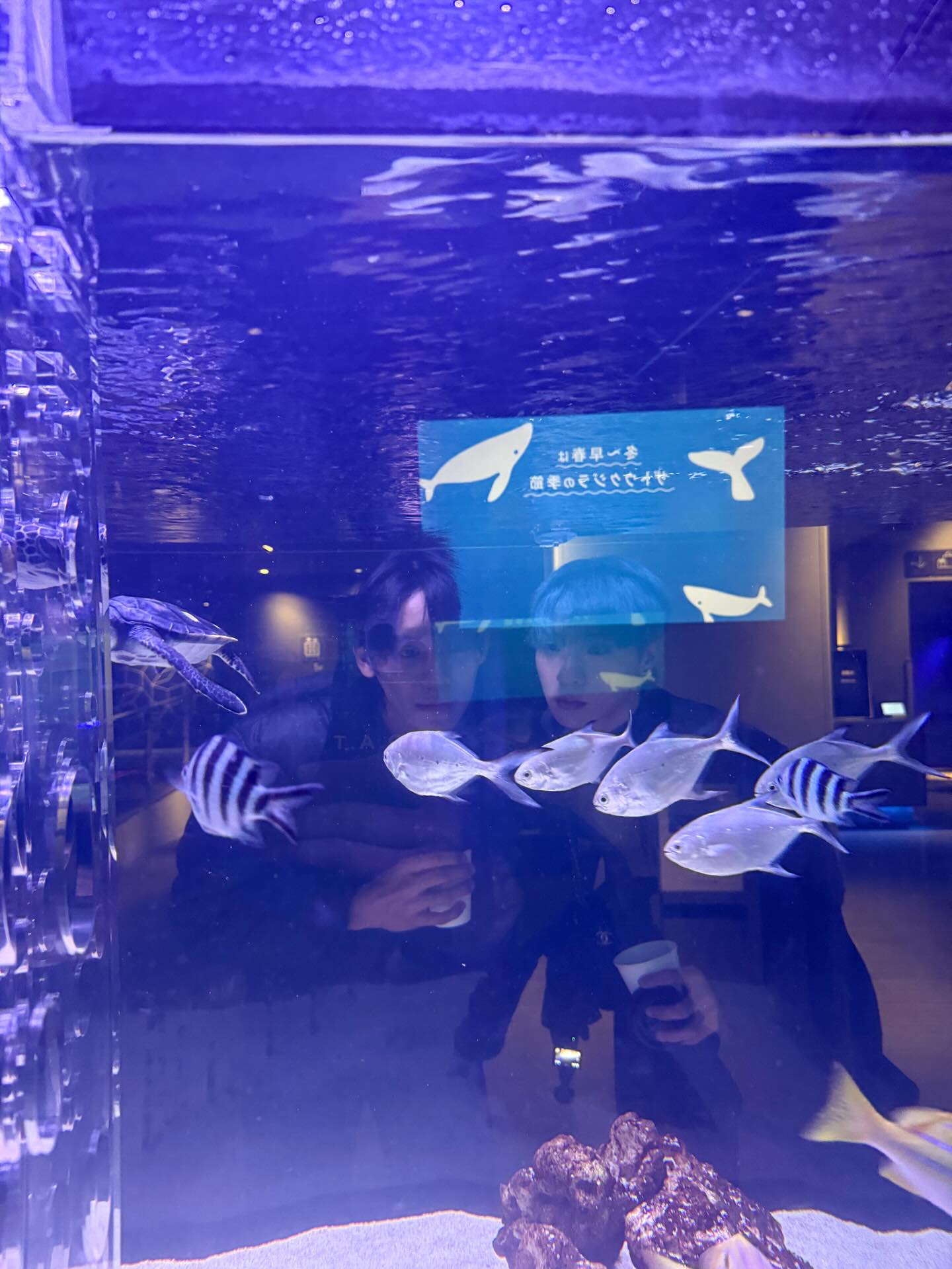 โอ๊ต - ธาราธร พุ่มโพธิงาม