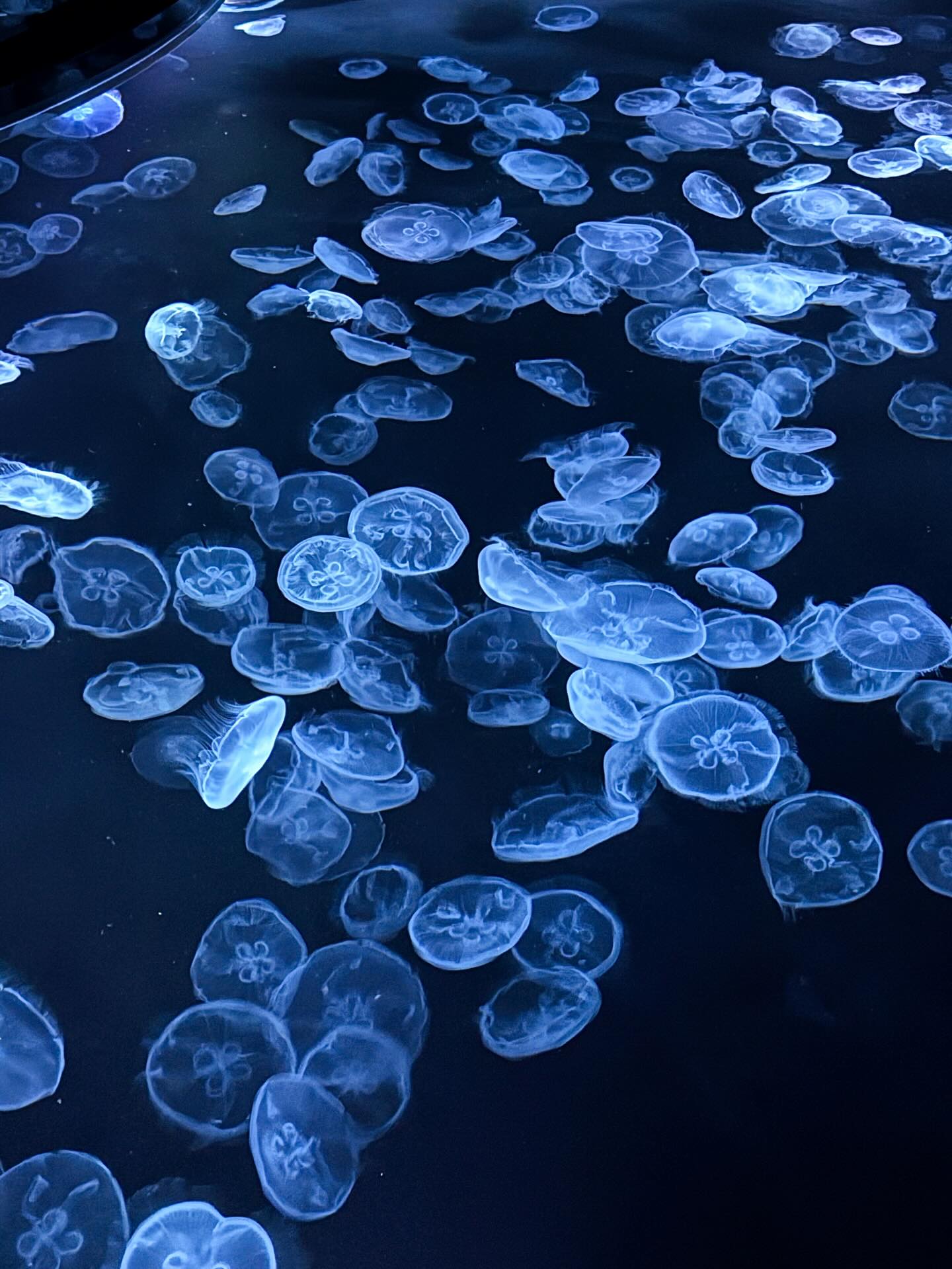 โอ๊ต - ธาราธร พุ่มโพธิงาม