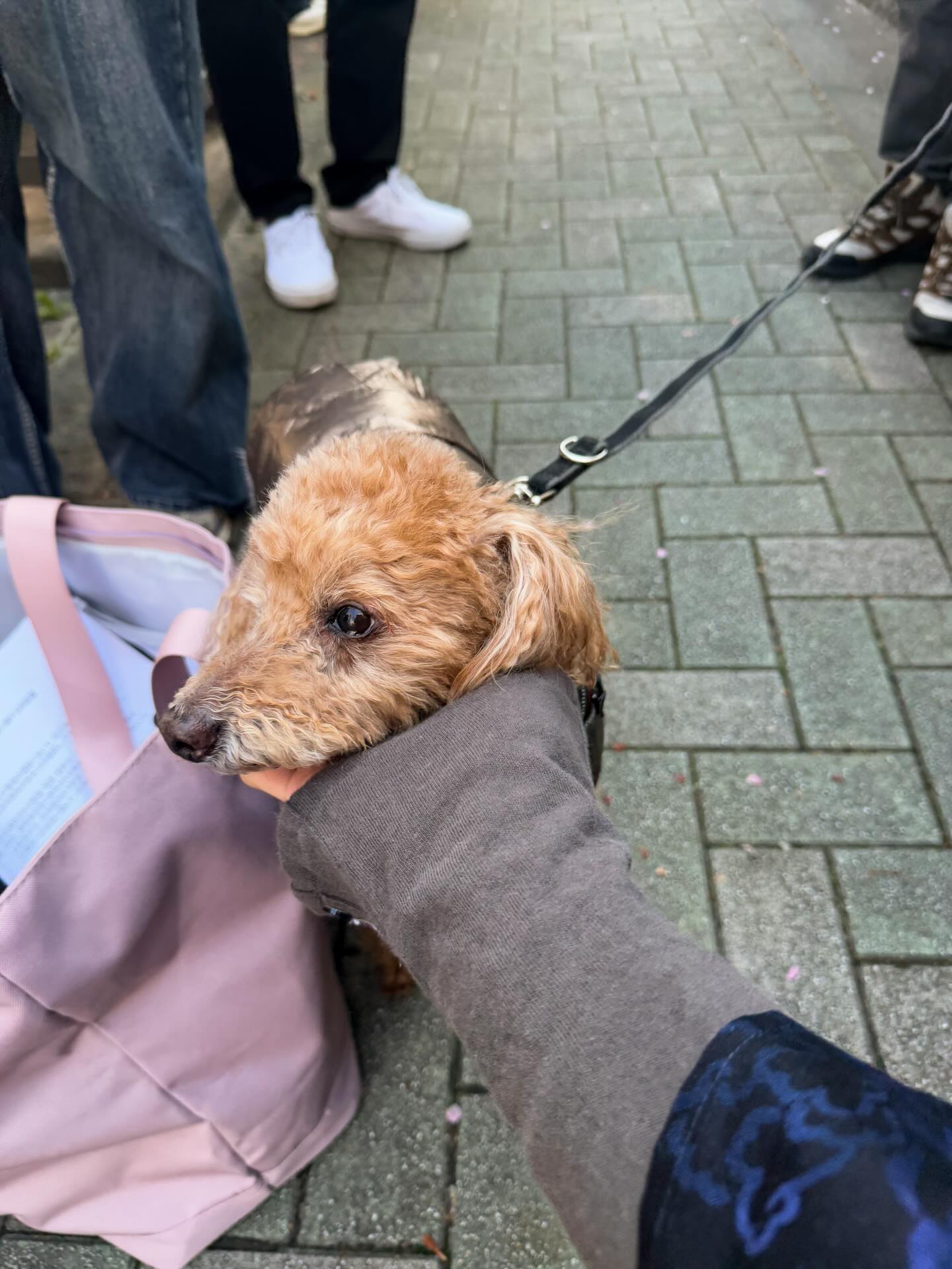 โอ๊ต - ธาราธร พุ่มโพธิงาม