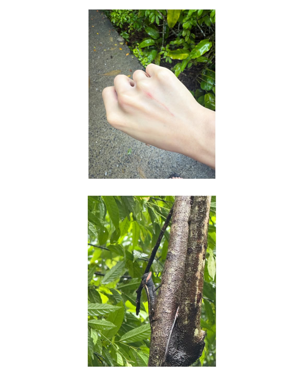 โอ๊ต - ธาราธร พุ่มโพธิงาม