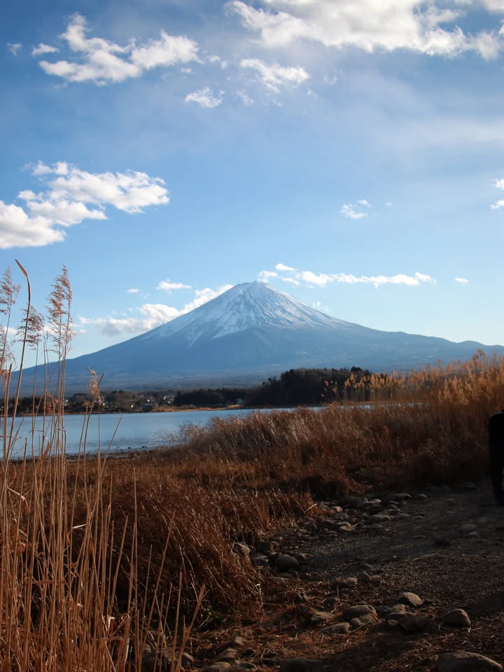 ริชชี่ - อรเณศ ดีคาบาเลส