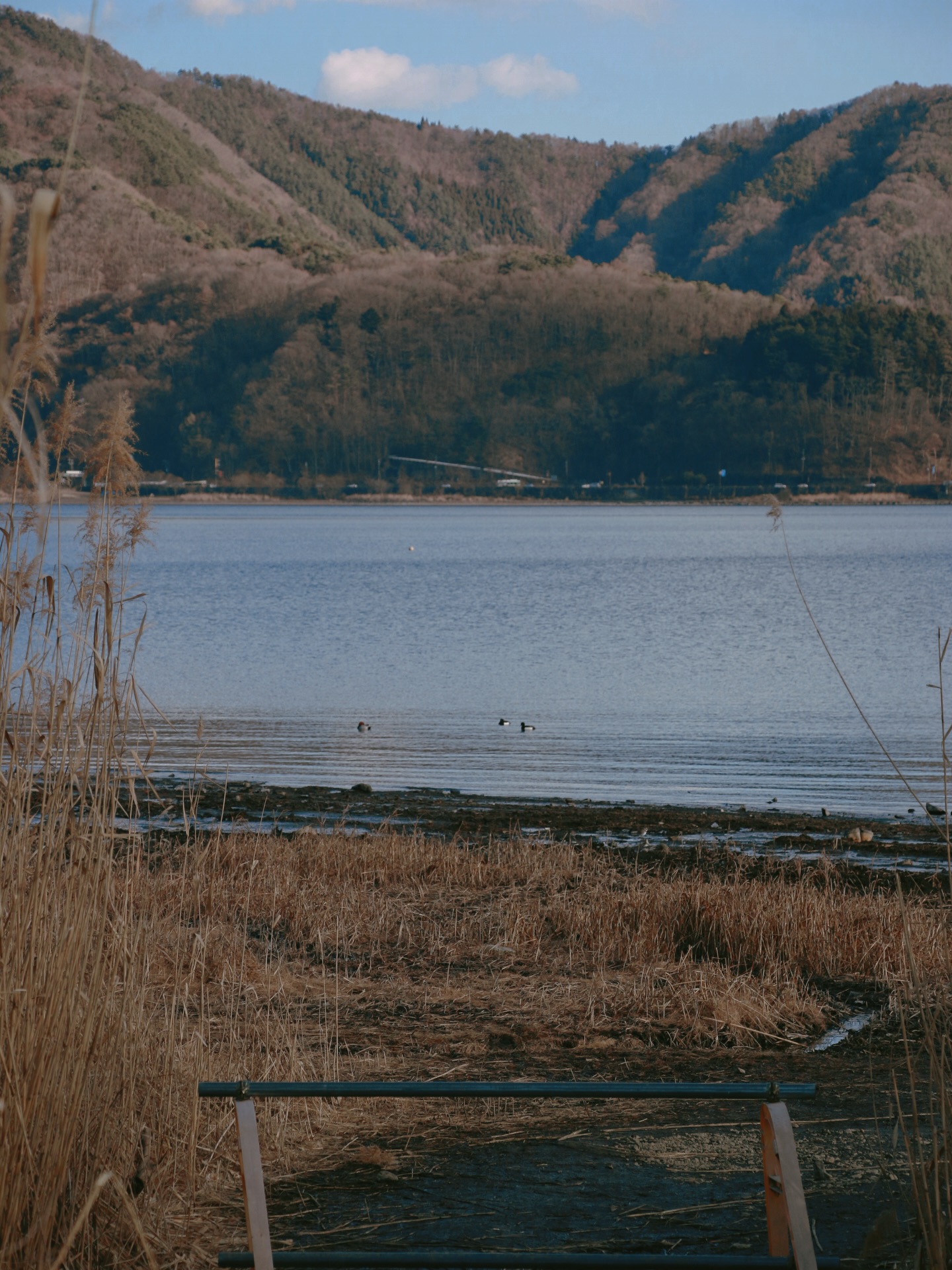 ริชชี่ - อรเณศ ดีคาบาเลส